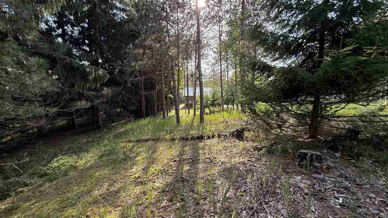 Tbd Farrell Road Central Lake MI 49622