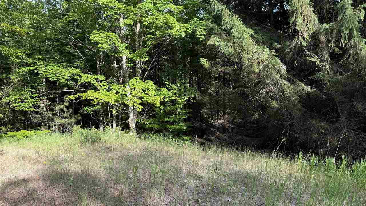 Tbd Farrell Road Central Lake MI 49622