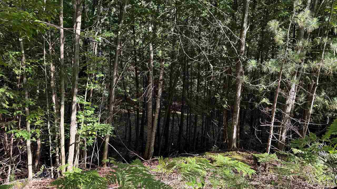 Tbd Farrell Road Central Lake MI 49622