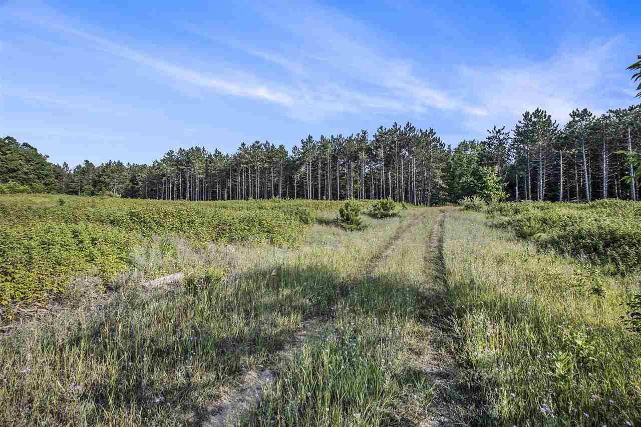 Tbd Camp Daggett Road Boyne City MI 49712
