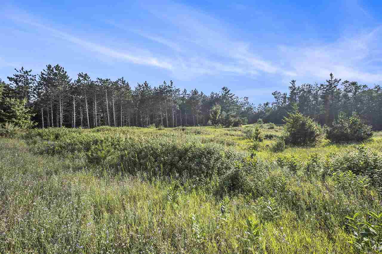 Tbd Camp Daggett Road Boyne City MI 49712