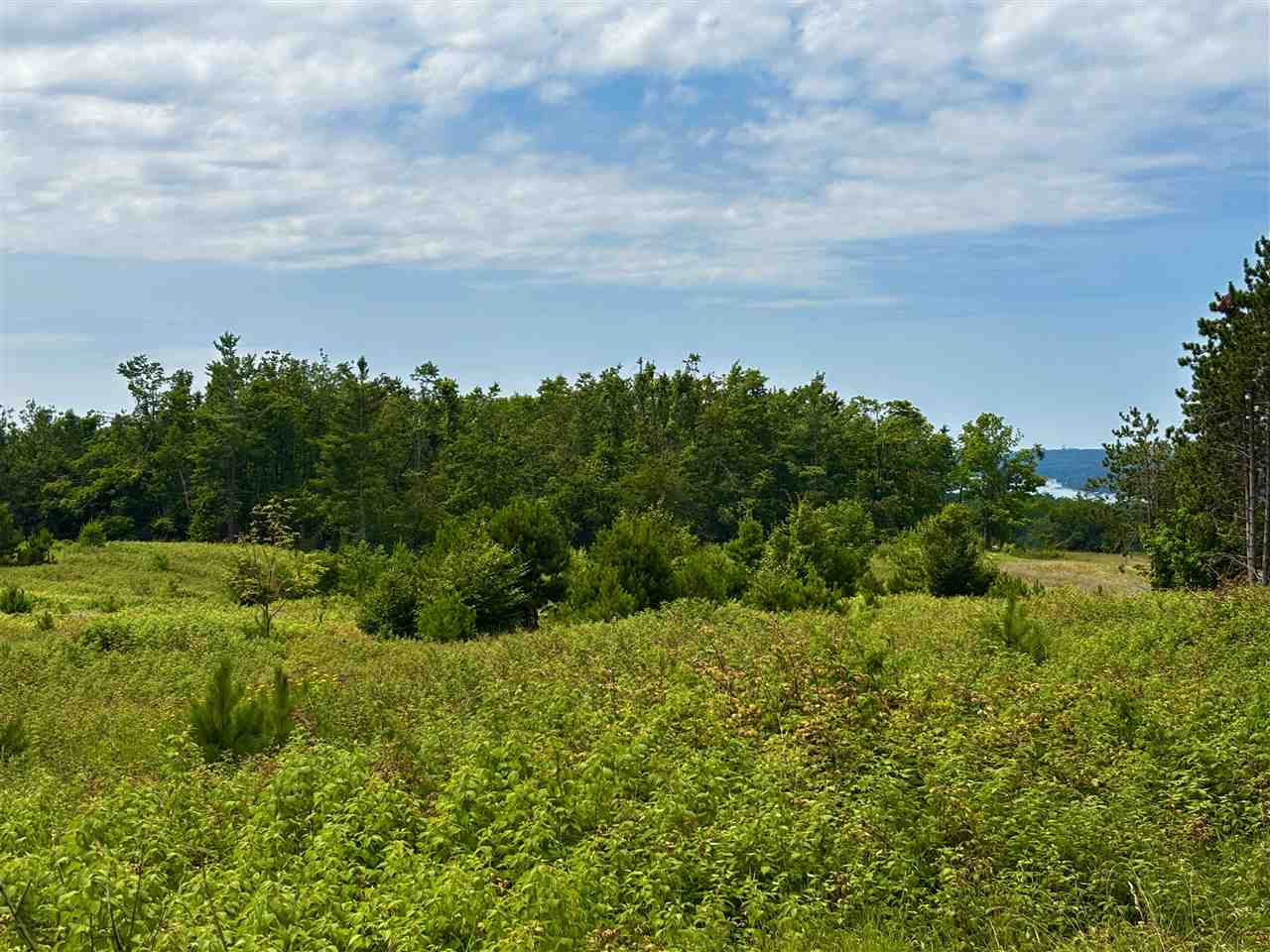 Tbd Camp Daggett Road Boyne City MI 49712