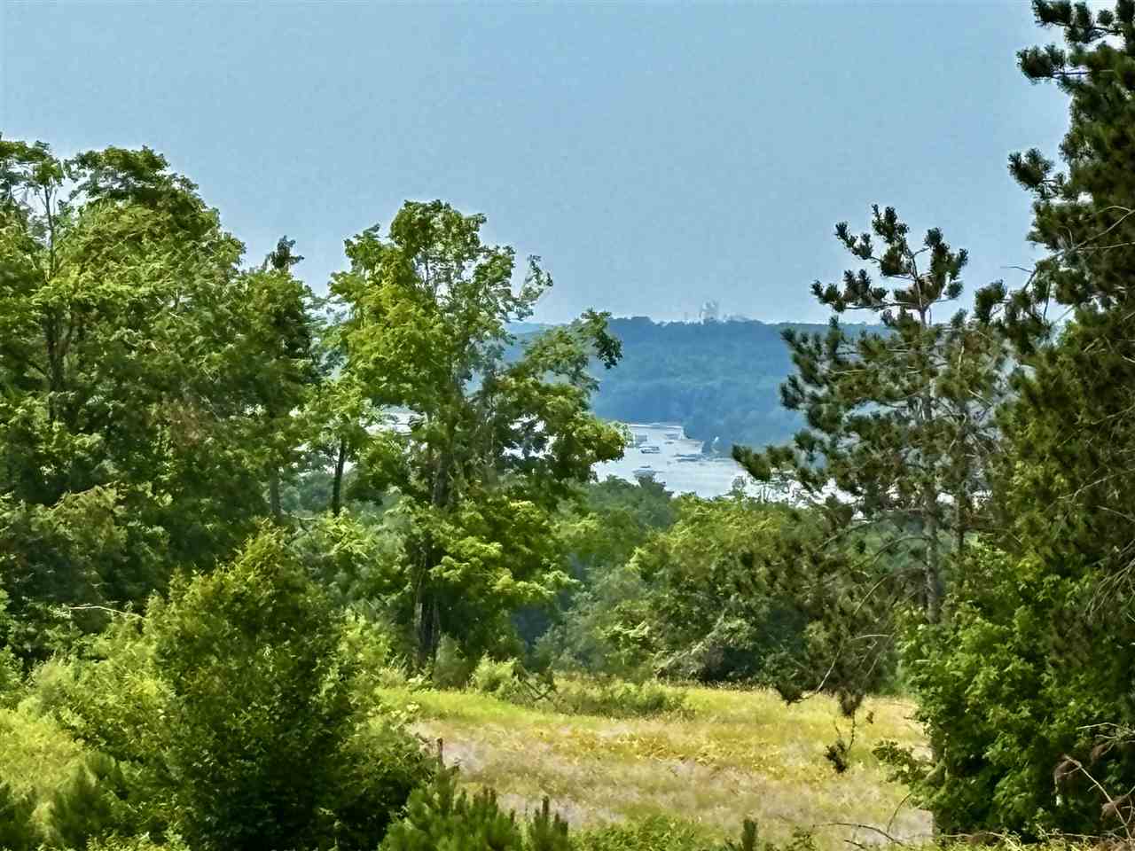 Tbd Camp Daggett Road Boyne City MI 49712