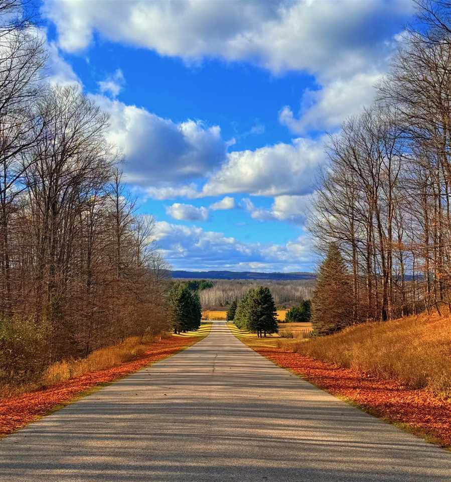 Lot 10 Mount Vernon Hills Drive Vanderbilt MI 48795