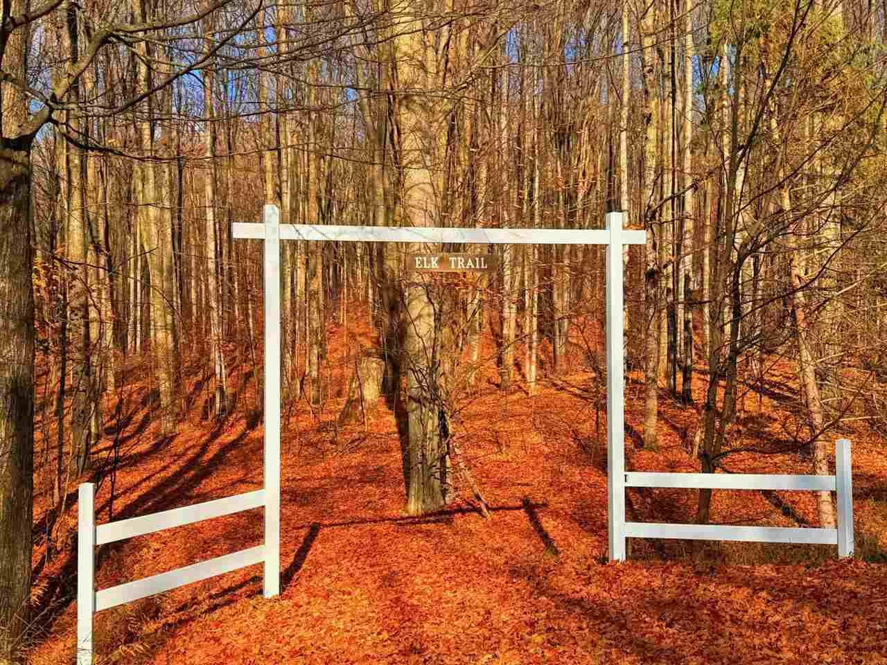 Lot 10 Mount Vernon Hills Drive Vanderbilt MI 48795