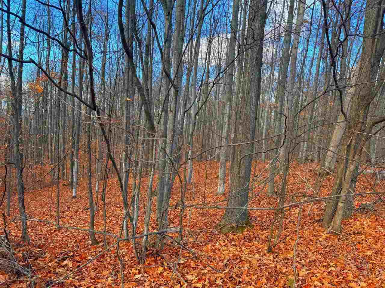 Lot 10 Mount Vernon Hills Drive Vanderbilt MI 48795