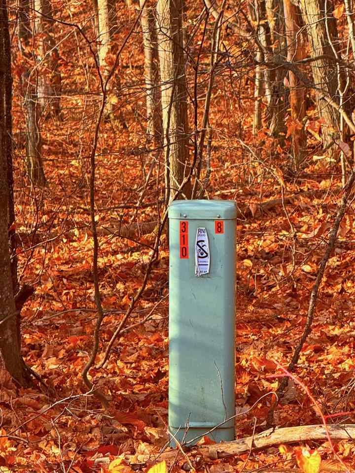 Lot 10 Mount Vernon Hills Drive Vanderbilt MI 48795