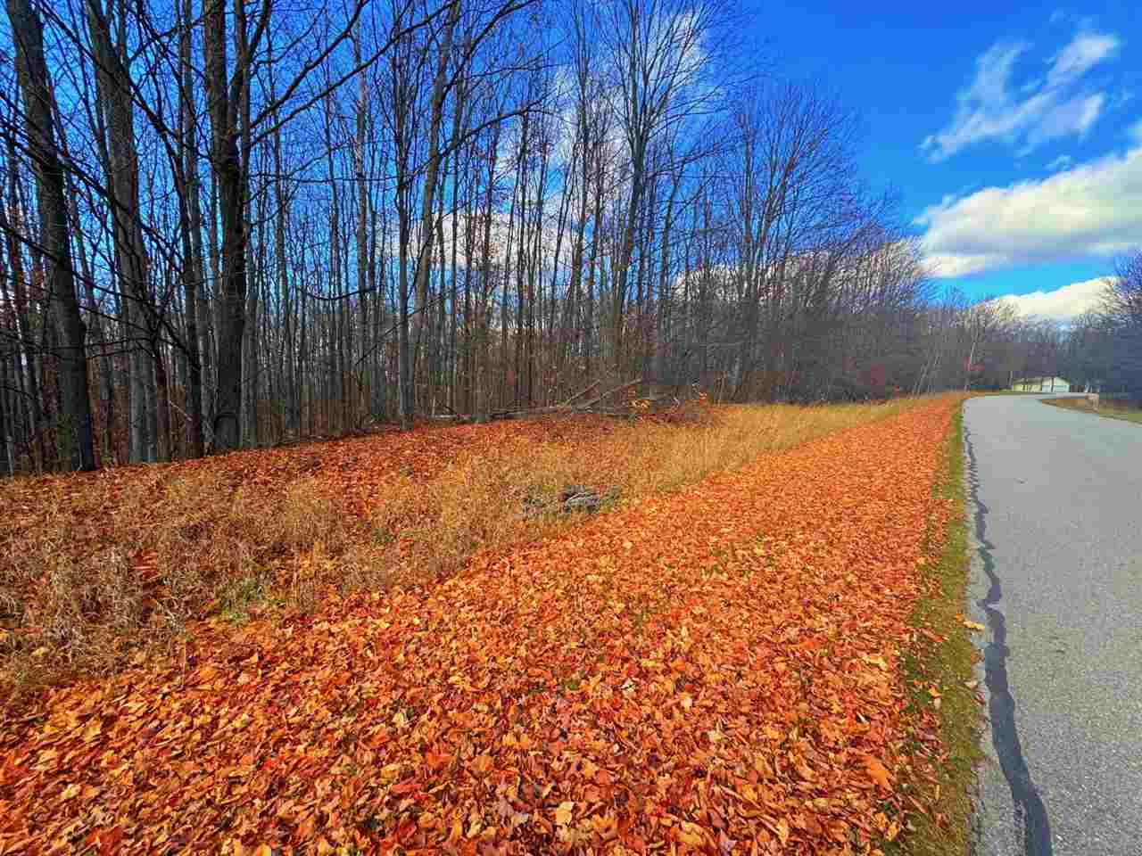 Lot 10 Mount Vernon Hills Drive Vanderbilt MI 48795