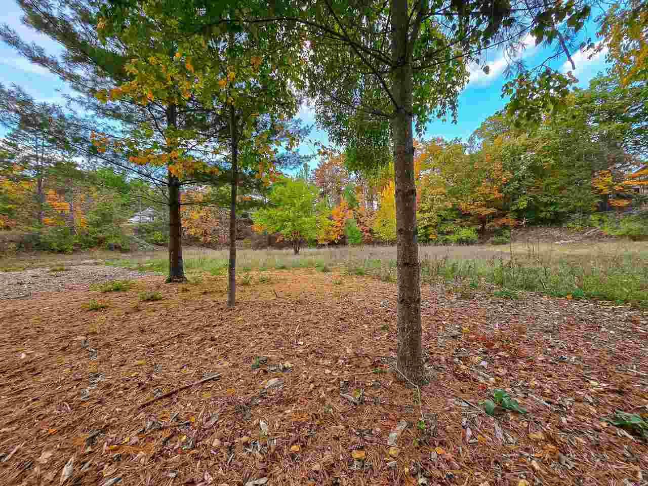 Tbd #3 Summit Street Harbor Springs MI 49740