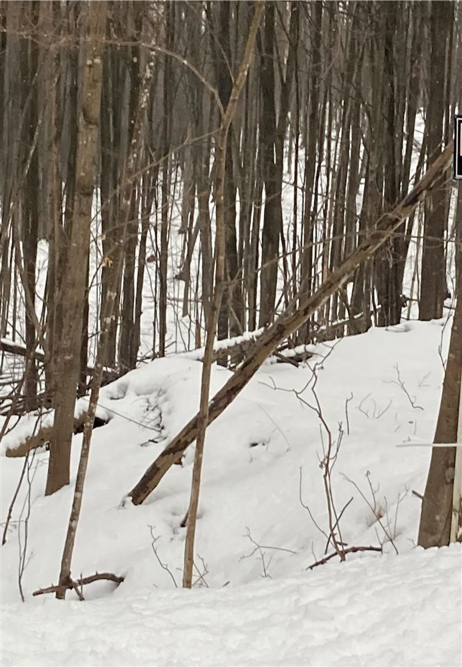 Tdb Marshall Boyne City MI 49712