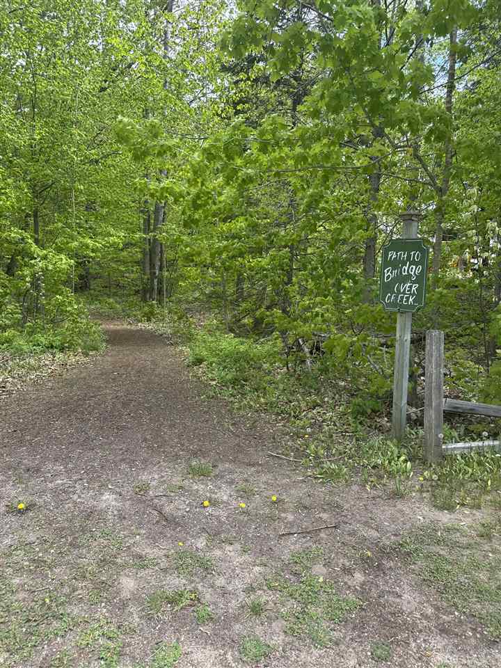 8838 Springridge Drive Petoskey MI 49770