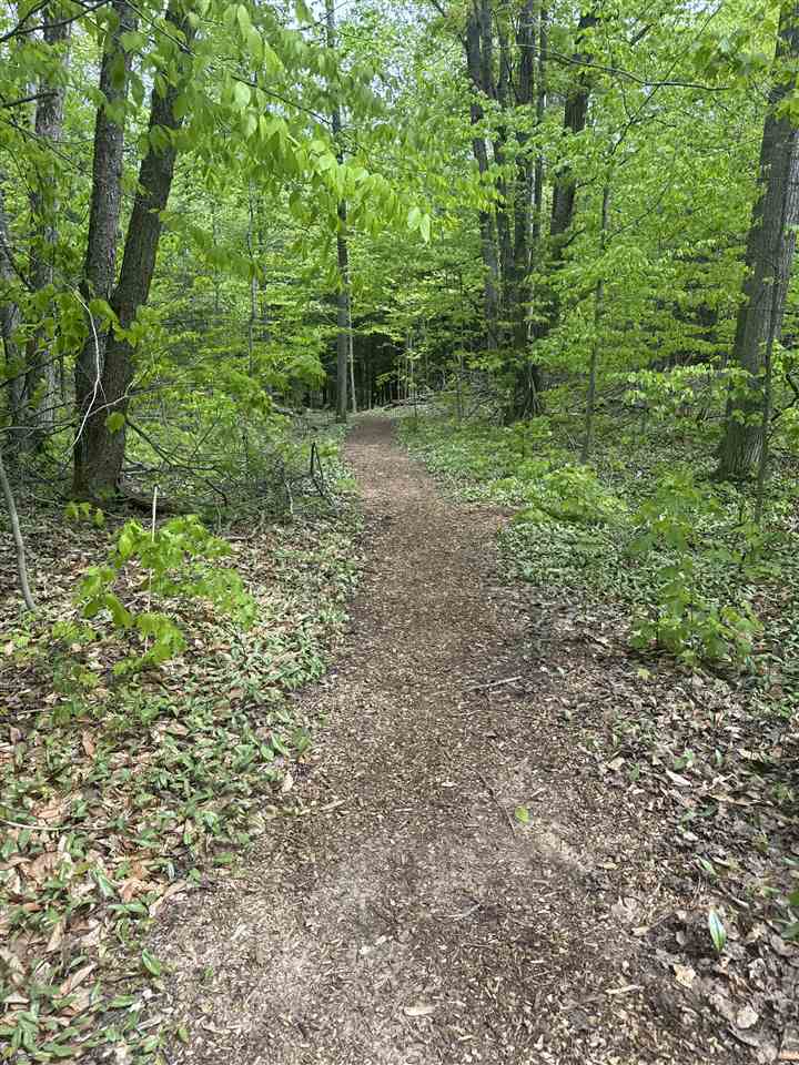 8838 Springridge Drive Petoskey MI 49770