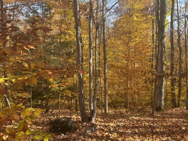 3264 Ritt Road Bellaire MI 49615