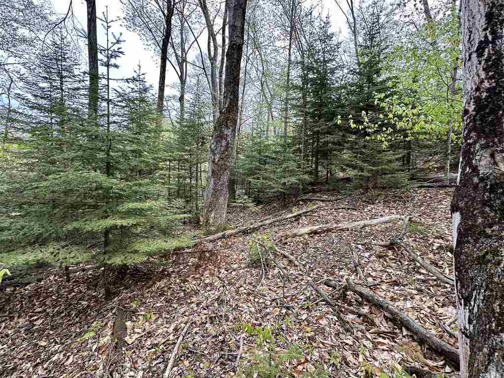 Tbd Allen's Lakeview Road Beaver Island MI 49782