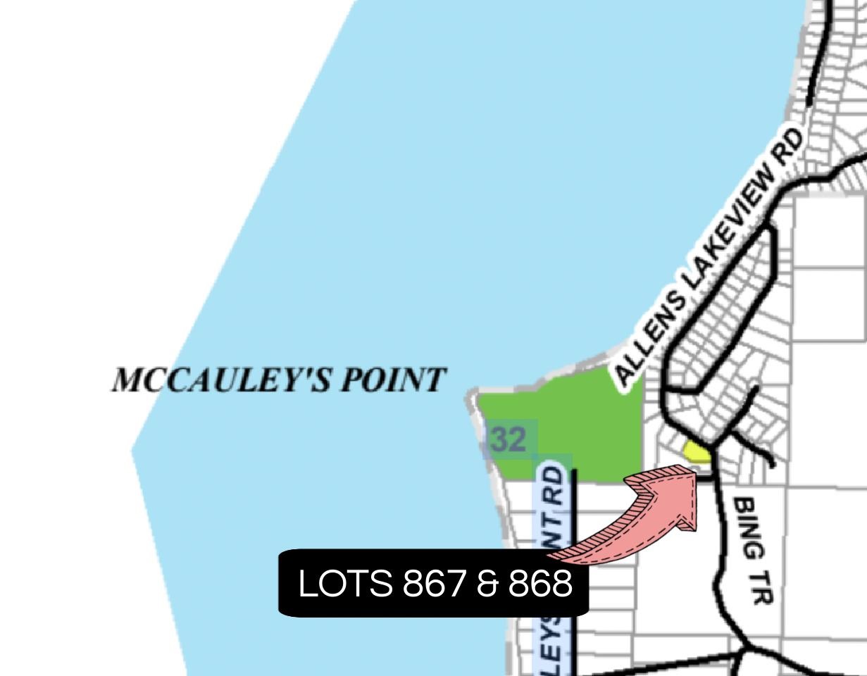 Tbd Allen's Lakeview Road Beaver Island MI 49782