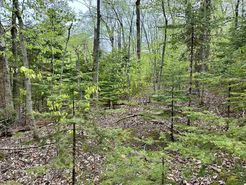 Tbd Allen's Lakeview Road Beaver Island MI 49782