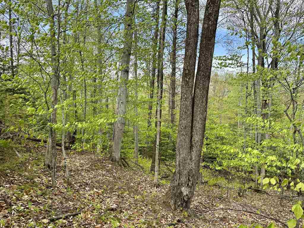 Tbd Allen's Lakeview Road Beaver Island MI 49782