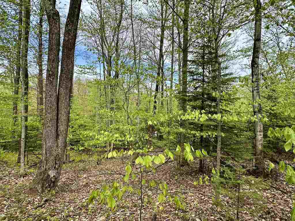 Tbd Allen's Lakeview Road Beaver Island MI 49782