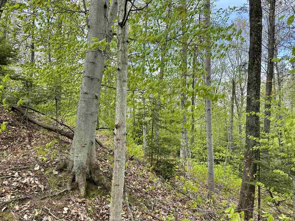 Tbd Allen's Lakeview Road Beaver Island MI 49782