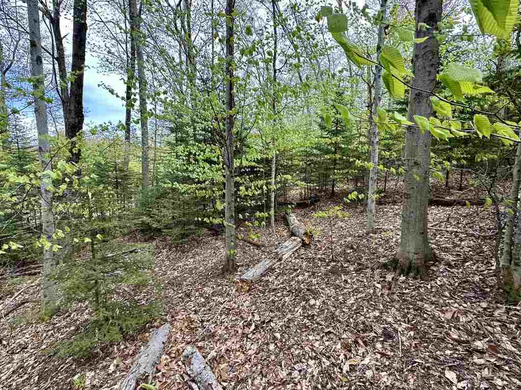 Tbd Allen's Lakeview Road Beaver Island MI 49782