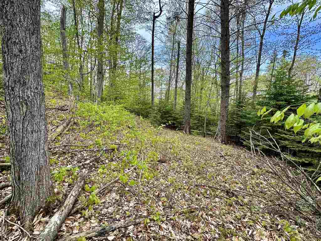 Tbd Allen's Lakeview Road Beaver Island MI 49782