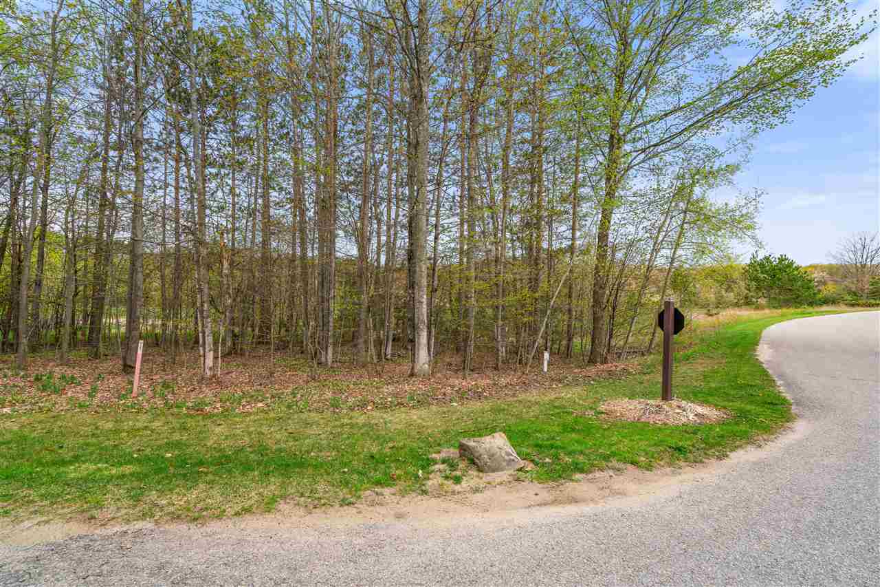 Tbd Sanctuary Drive Harbor Springs MI 49740