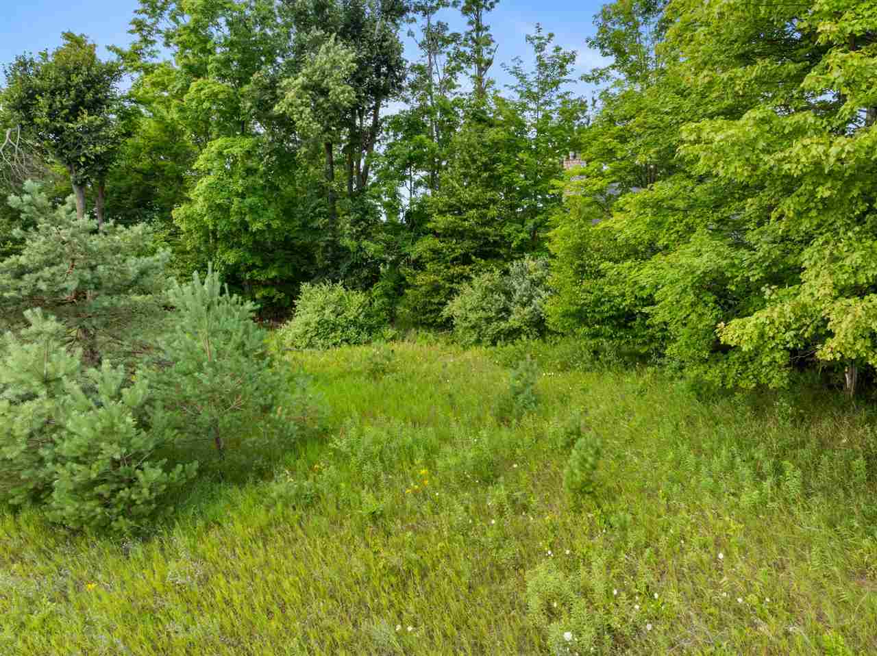 575 Harbor View Lane Petoskey MI 49770