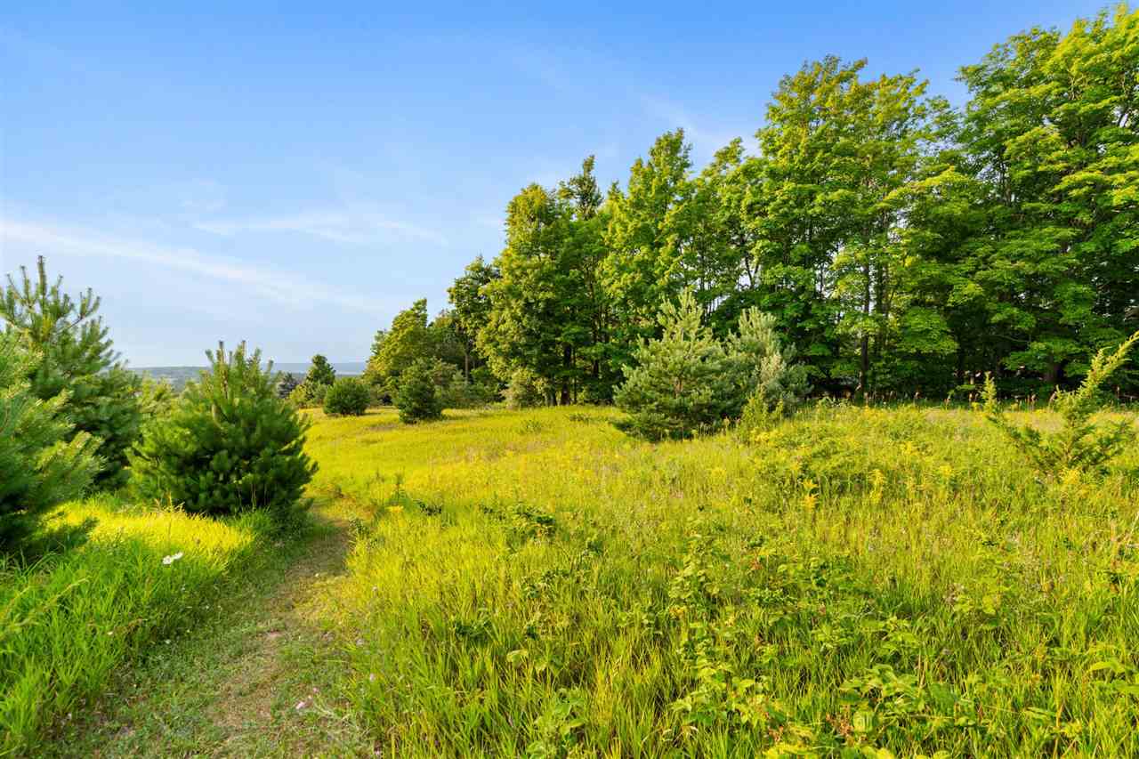 575 Harbor View Lane Petoskey MI 49770