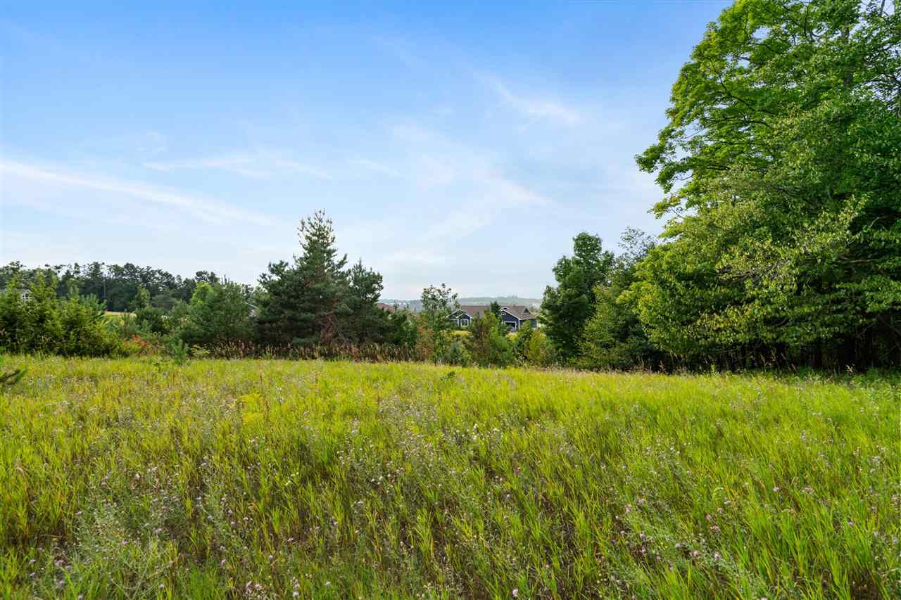 575 Harbor View Lane Petoskey MI 49770