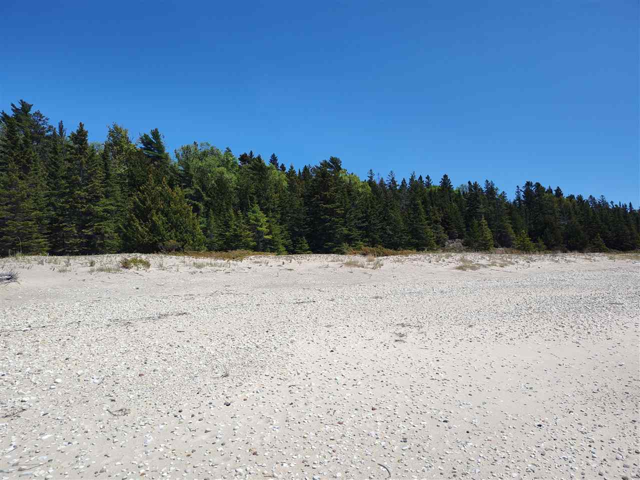 Tbd Mrs. Reddings Trail Lot 25 Beaver Island MI 49782