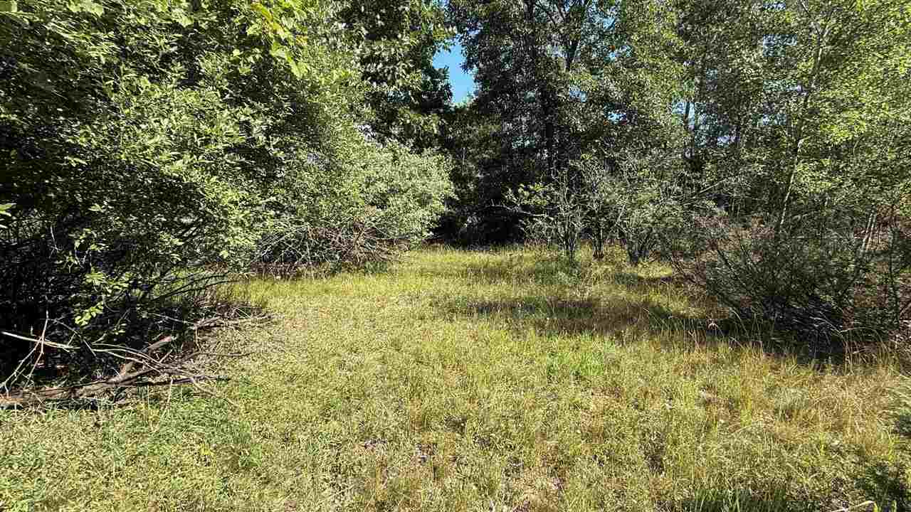 Tbd Crescent Rapid City MI 49676