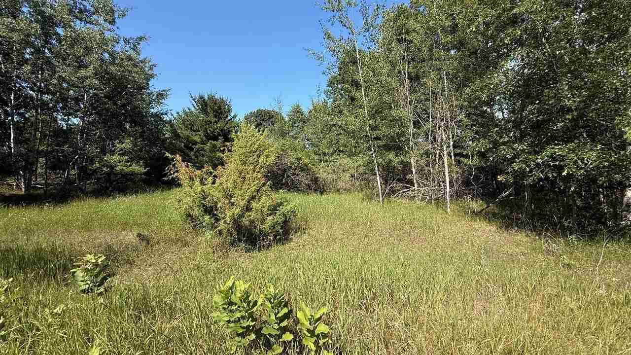 Tbd Crescent Rapid City MI 49676