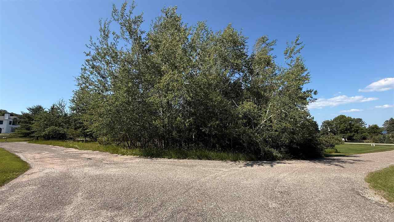 Tbd Crescent Rapid City MI 49676