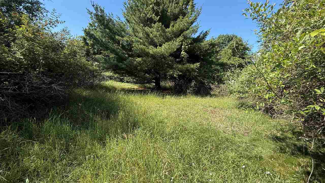 Tbd Crescent Rapid City MI 49676