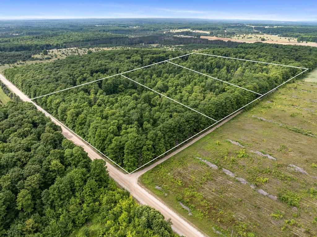 000 Tbd Gates Road Elmira MI 49730