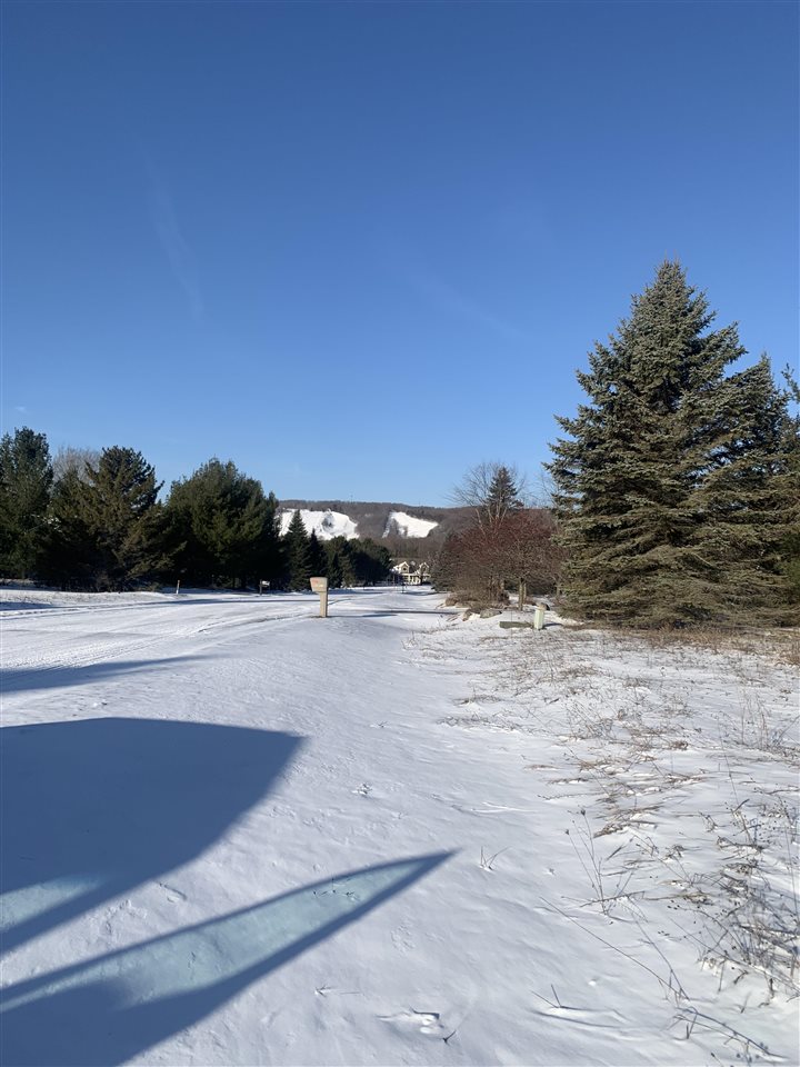 140 Pleasant Valley Drive Harbor Springs MI 49740