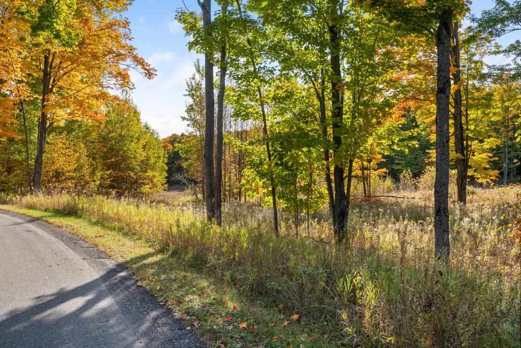 Lot 14 Aspen Ridge Court Boyne City MI 49712