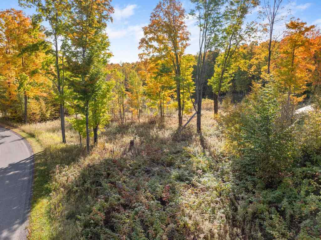 Lot 14 Aspen Ridge Court Boyne City MI 49712