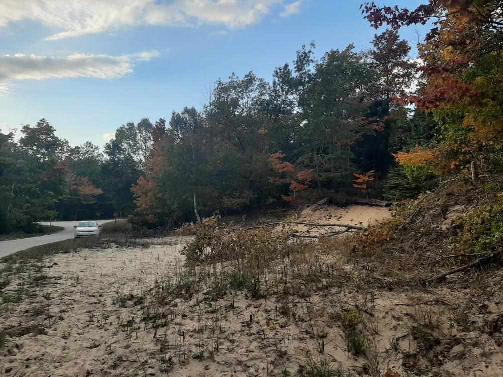 Tbd Island Woods Beaver Island MI 49782