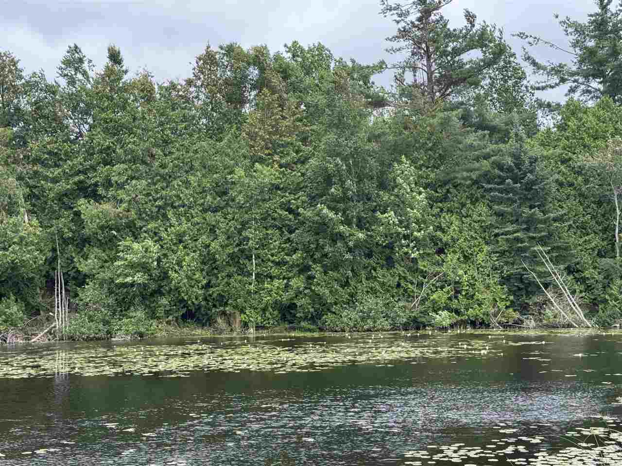 Tbd Pickerel Lake Road Petoskey MI 49770-0000