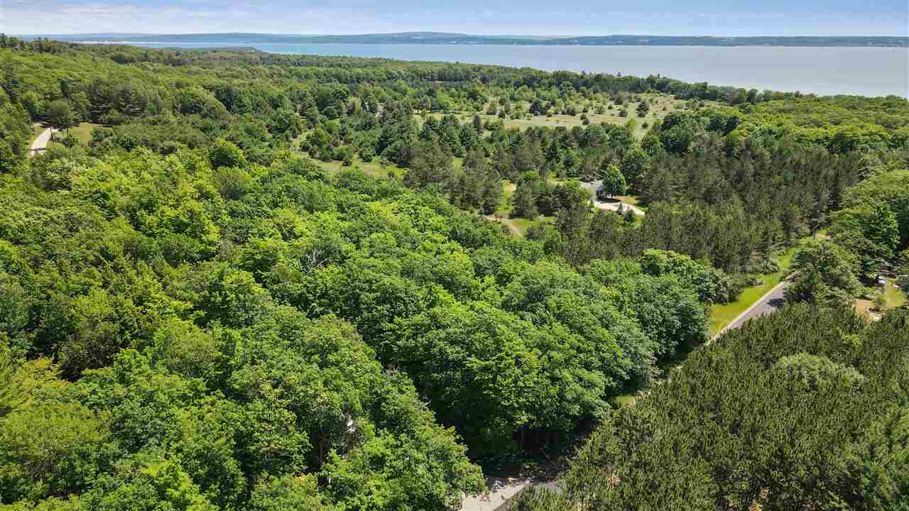 5945 Lodgepole Harbor Springs MI 49740