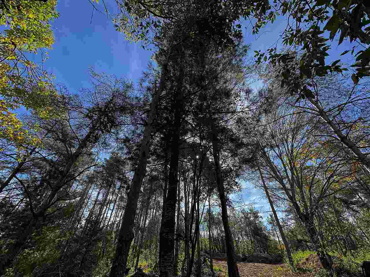 3415 Annie's Way Petoskey MI 49770