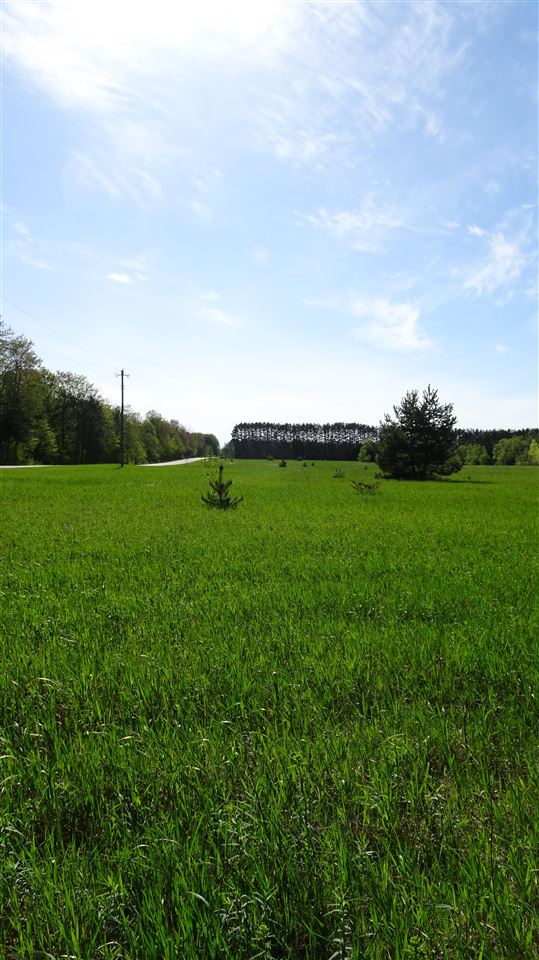 Tbd Twin Lake Road Kalkaska MI 49646