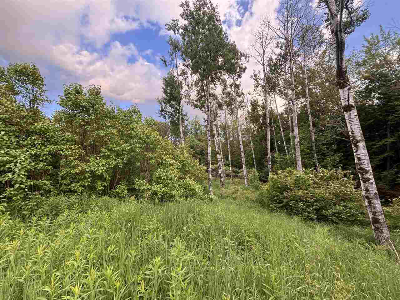 7860 Pickerel Lake Road Petoskey MI 49770