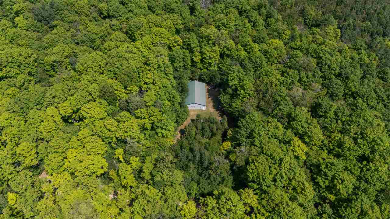 11414 Mccleary Road Carp Lake MI 49718