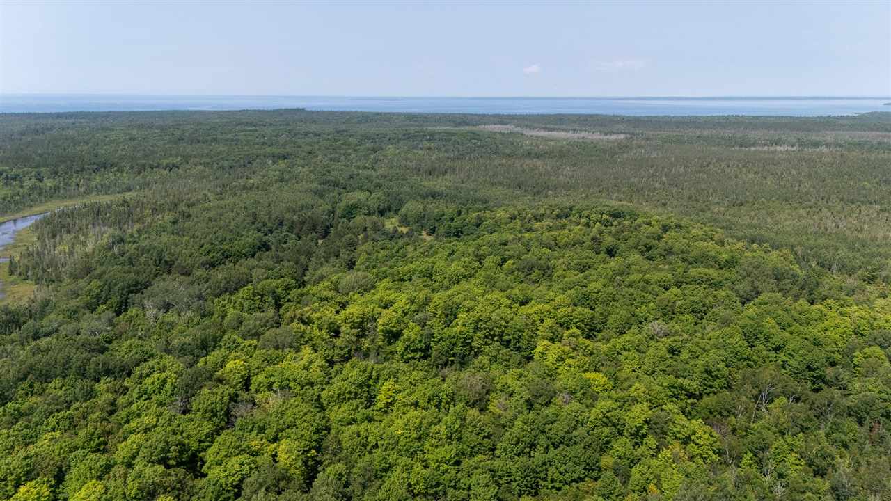 11414 Mccleary Road Carp Lake MI 49718