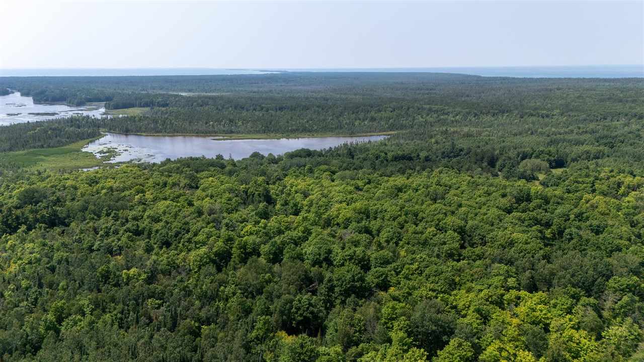 11414 Mccleary Road Carp Lake MI 49718