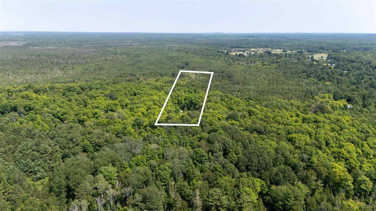 11414 Mccleary Road Carp Lake MI 49718