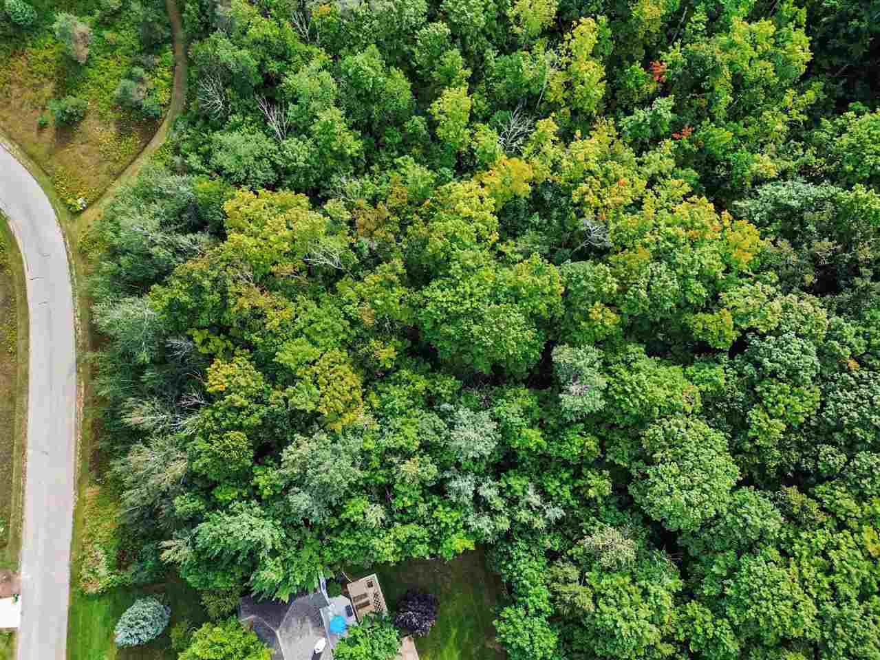 0000 Chapel Hill Drive Petoskey MI 49770