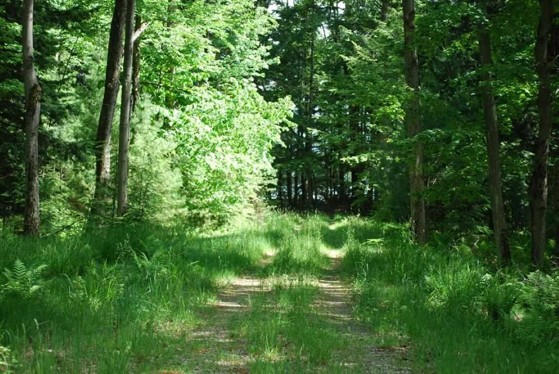 Lot 3 Leeward Drive Petoskey MI 49770